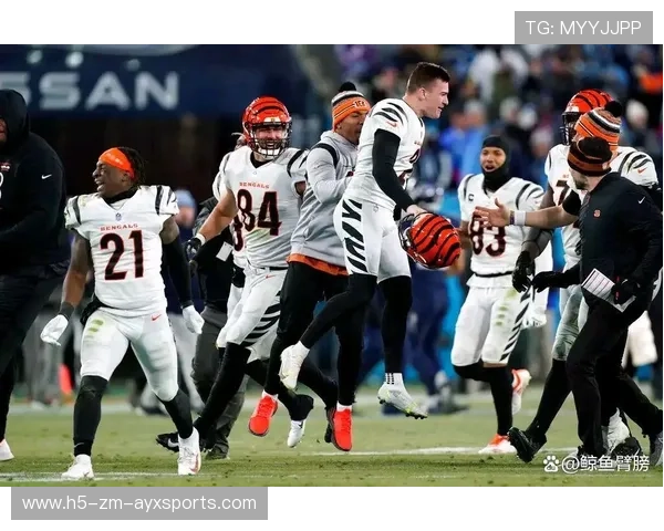 2026赛季NFL规则调整影响深度分析，nfl进季后赛规则