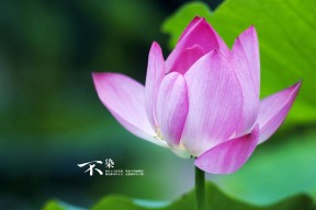 爱游戏入口-外教与本土教练协作挑战大，外籍教练