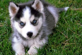 爱游戏官网-数据分析是否能取代传统篮球直觉，篮球数据分析师