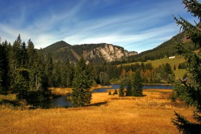 爱游戏app下载-Palmer未来在国际赛场备受期待，pal赛事