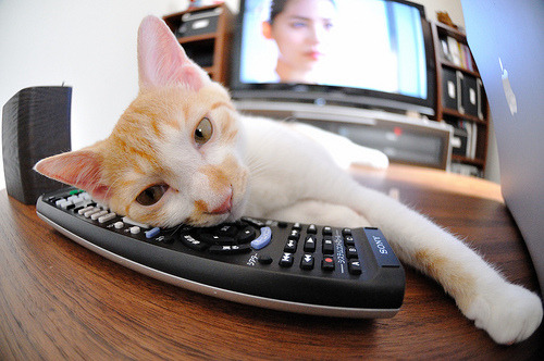 中小学体育兴趣社团全面升级,有创意的小学体育社团名称