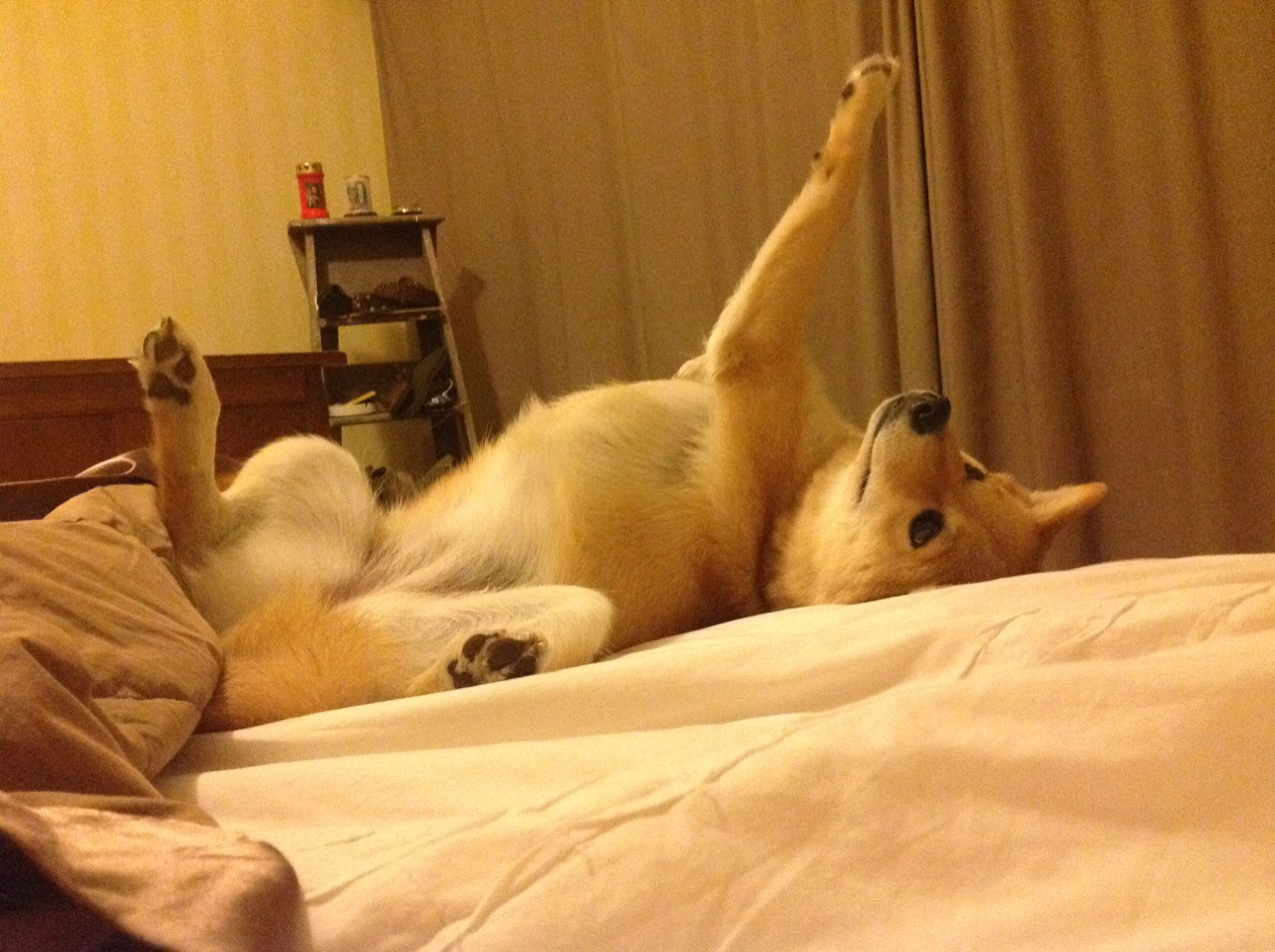 卢卡·乌兰多展现年轻选手冲劲，卢卡集锦