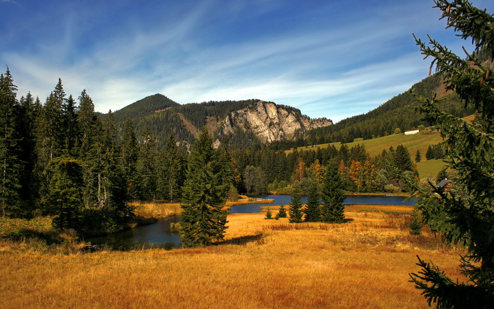 Palmer未来在国际赛场备受期待,pal赛事